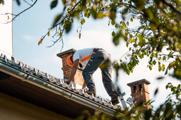 Emergency Roof Repair in Springfield, OR
